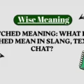 Snatched Meaning_ What Does Snatched Mean in Slang, Text and Chat