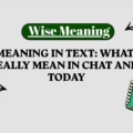 WSG Meaning in Text_ What Does WSG Really Mean in Chat and More Today