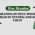 WTM Meaning in Text_ What Does WTM Mean in Texting and How to Use It