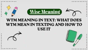 WTM Meaning in Text_ What Does WTM Mean in Texting and How to Use It