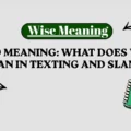 WYO Meaning_ What Does WYO Mean in Texting and Slang