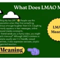What Does LMAO Means