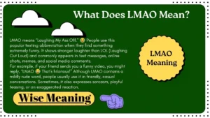 What Does LMAO Means