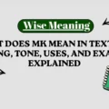 What Does MK Mean in Text_ MK Meaning, Tone, Uses, and Examples Explained