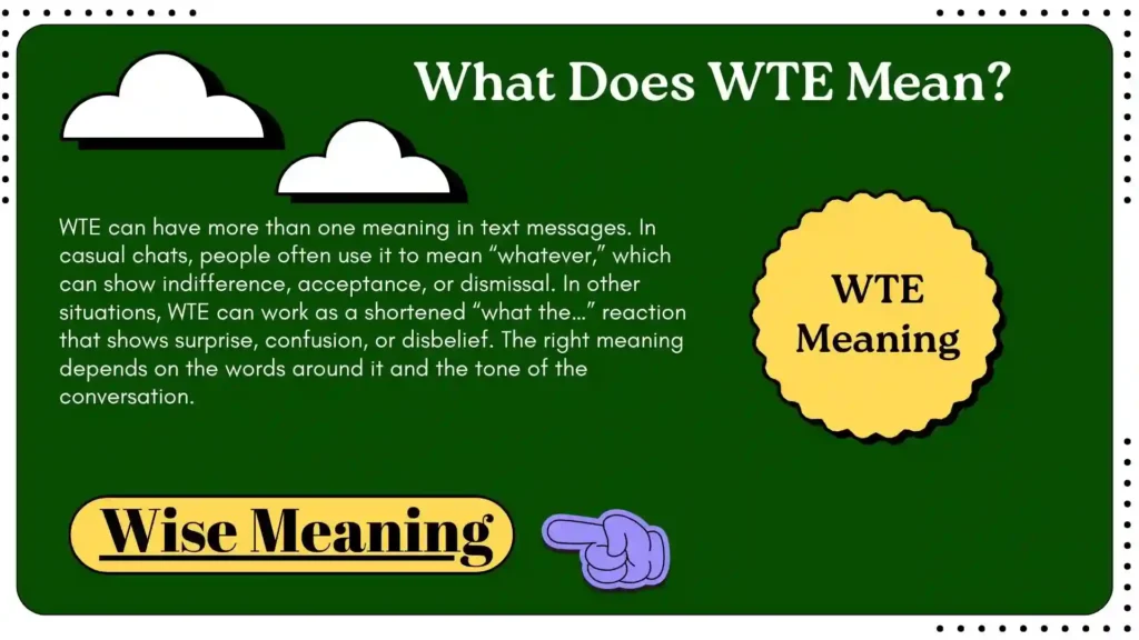 What Does WTE Mean