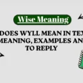 What Does WYLL Mean in Texting_ WYLL Meaning, Examples and How to Reply