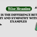 what is the difference between empathy and sympathy With Clear Examples